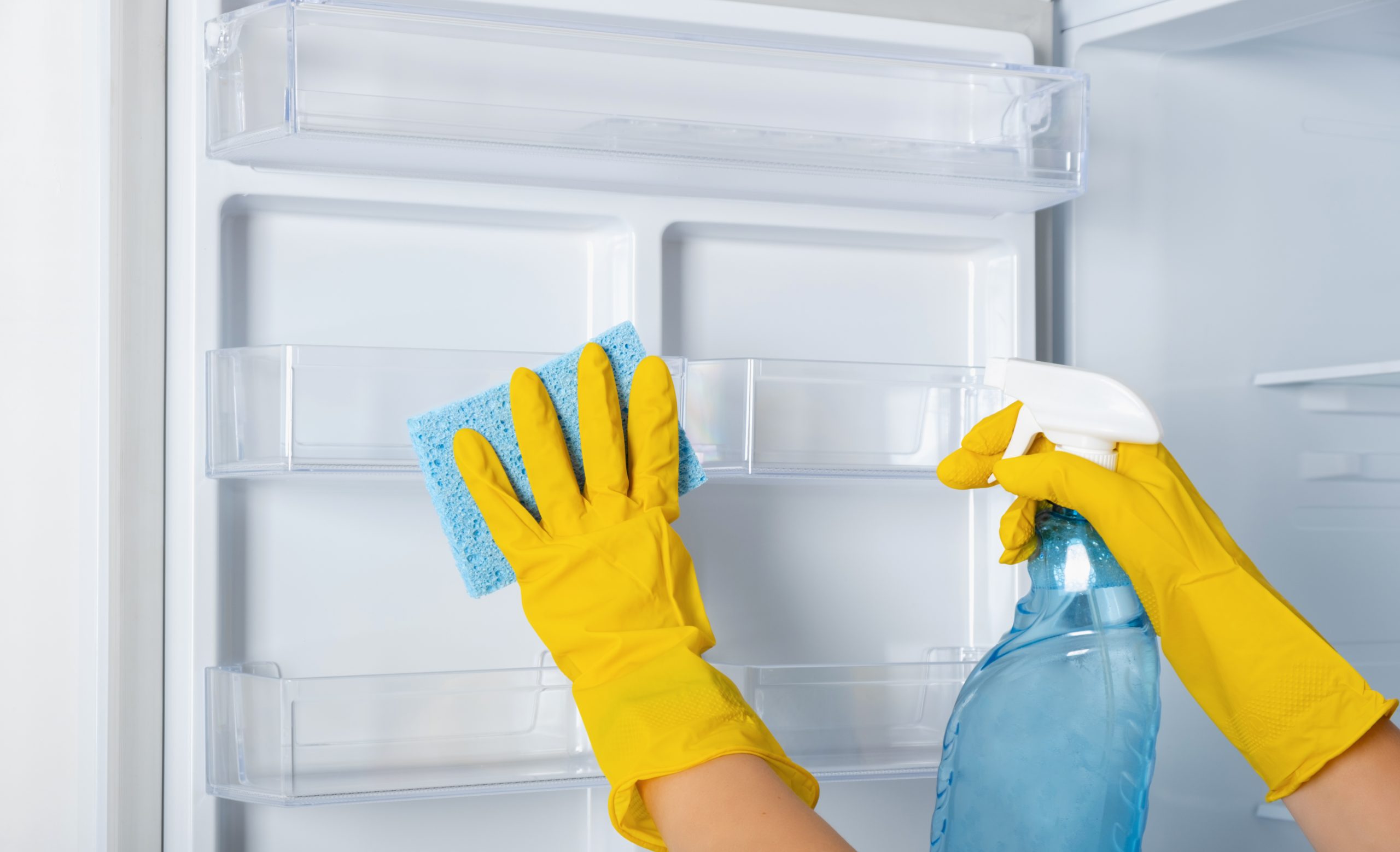 Blog 11 How often should you deep clean your refrigerator scaled